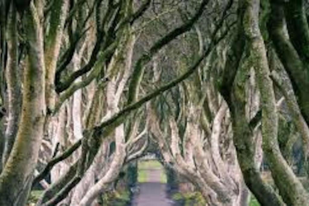 Barn Lane @ Drumagosker Rural Retreats Ardmore Luaran gambar